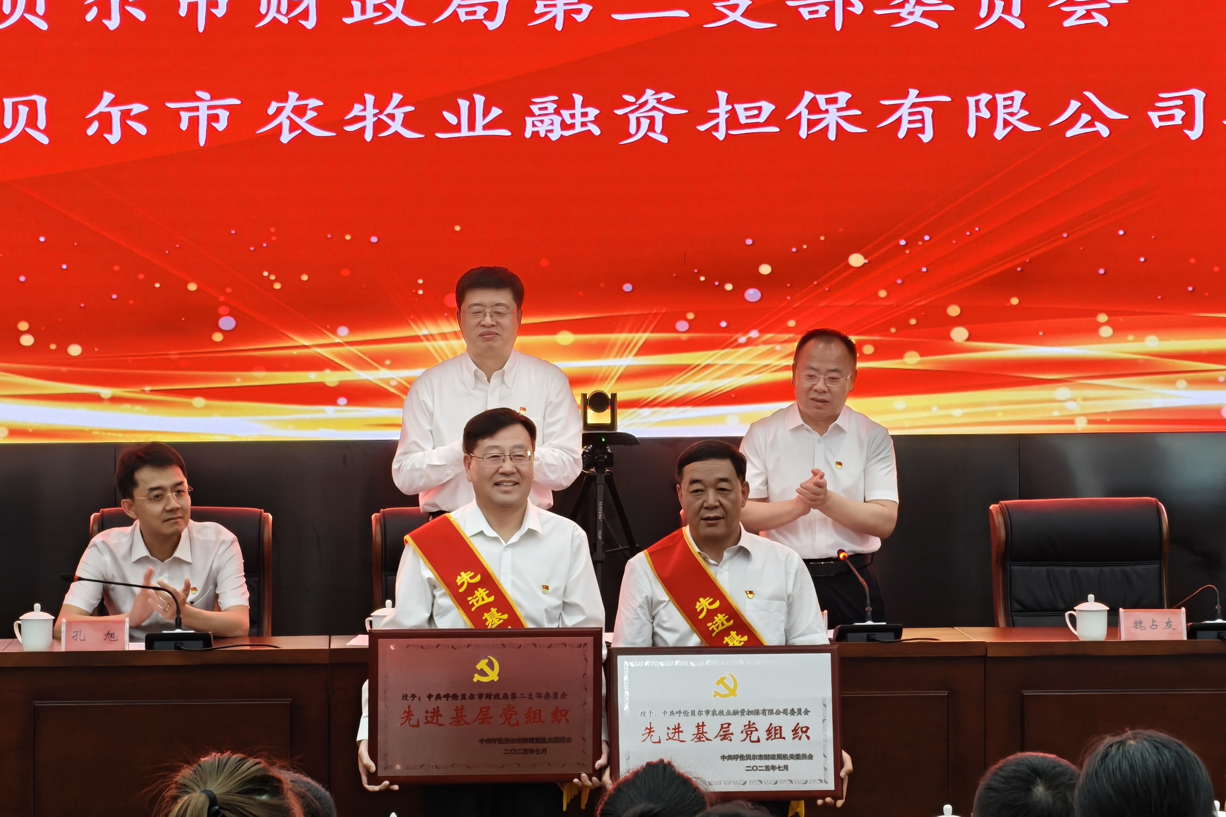 市農(nóng)擔(dān)公司黨委榮獲 “先進(jìn)基層黨組織” 稱(chēng)號(hào)